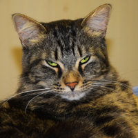 eco-mug-shot eco-mug-shot